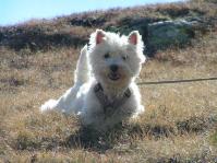 Klik op de foto voor groter formaat